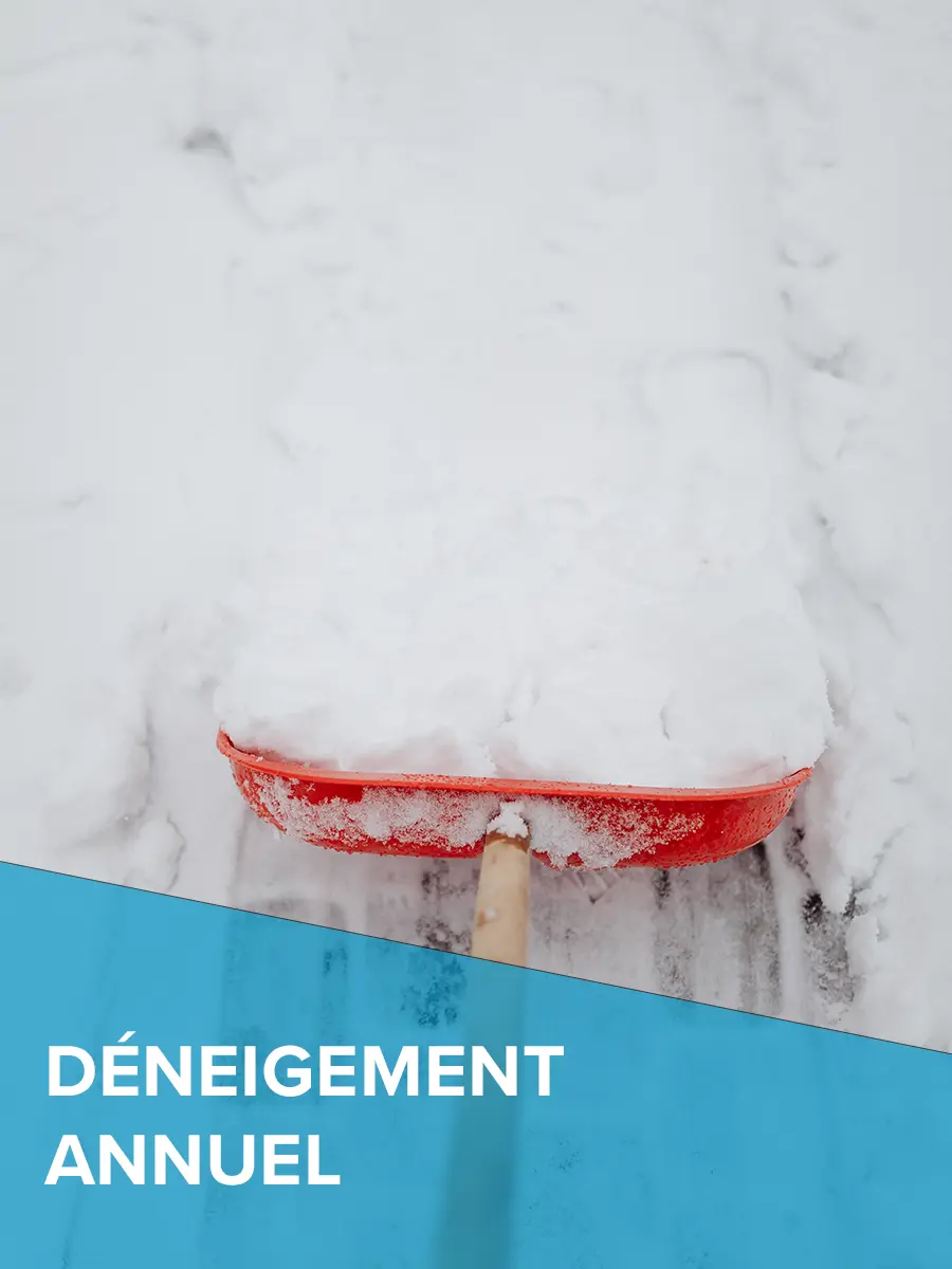 Déneigement pour l'année